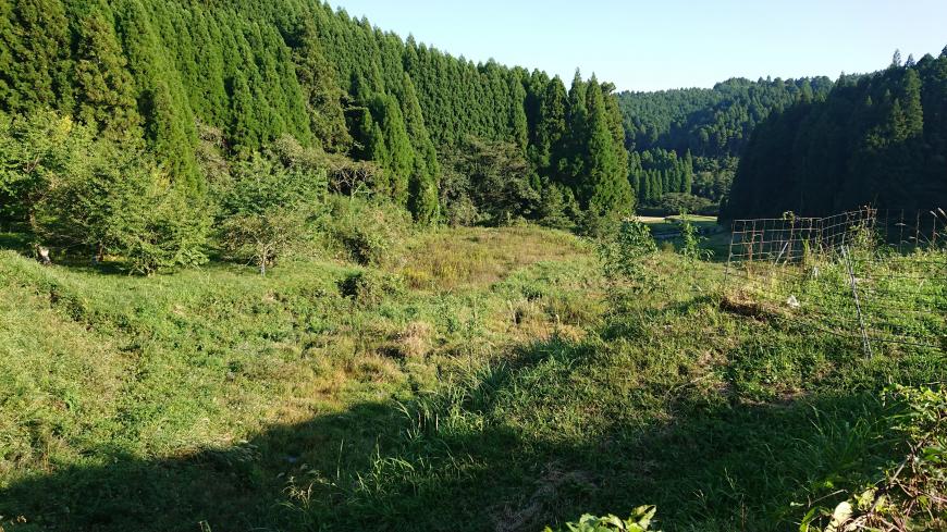 相続土地国庫帰属制度について