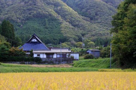 土地や家を相続したら？