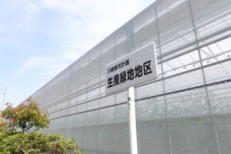 生産緑地の指定解除について