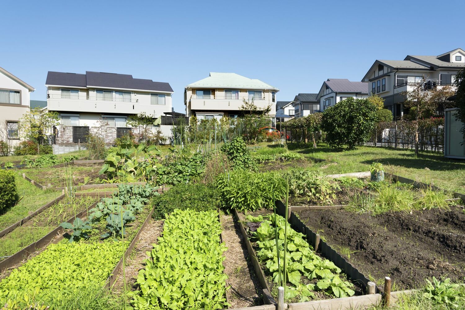 生産緑地の売却の方法